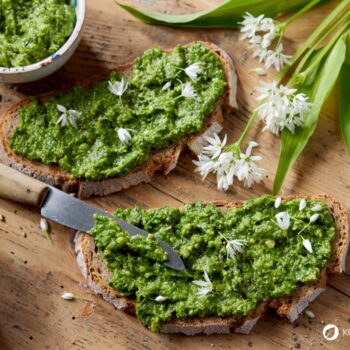 Bärlauch: leckeres Würzmittel, fantastisch für Darmflora und gut gegen Bluthochdruck. Wild oder im Garten, die Bärlauchsaison solltest du nicht verpassen!