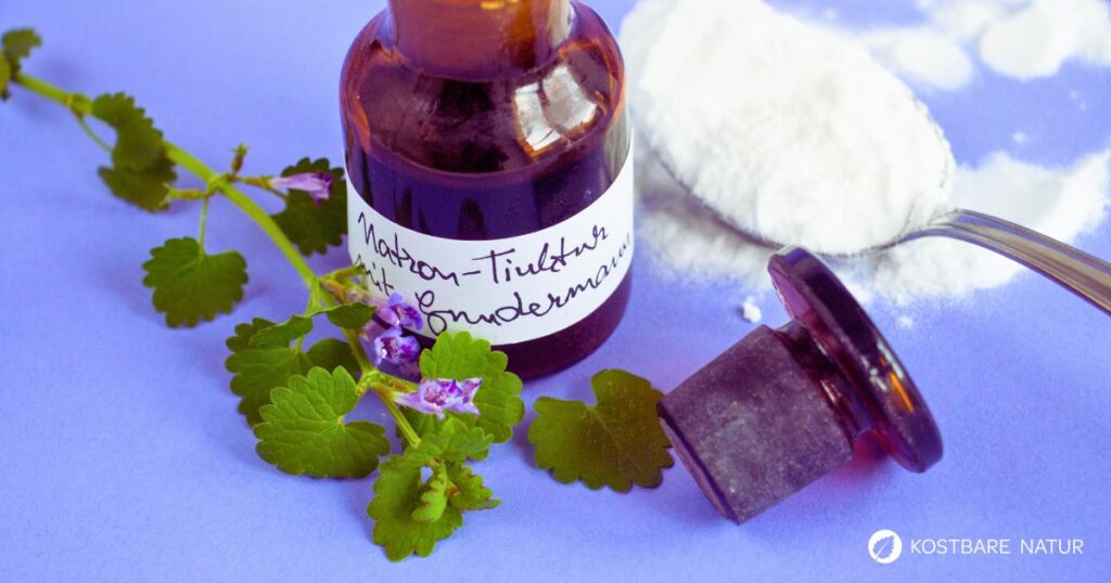 Eine heilsame Gundermann-Tinktur kannst du ohne Alkohol herstellen. Sie lässt sich innerlich und äußerlich anwenden und lindert zahlreiche Beschwerden.