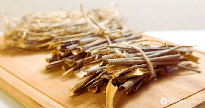 Auch in der Borke und Rinde von Bäumen und Sträuchern verbergen sich große Heilkräfte. Wie du Rinde erntest, erfährst du hier.