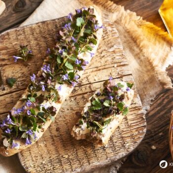 Als Würzkraut ist der Gundermann eine Bereicherung für jede Küche. Er hilft als Heilkraut bei eitrigen Wunden, Bronchitis, Harnerkrankungen und Schnupfen.