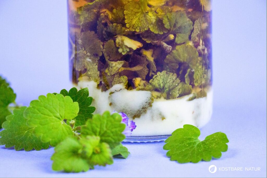 Gundermann-Tinktur mit Natron in Flasche