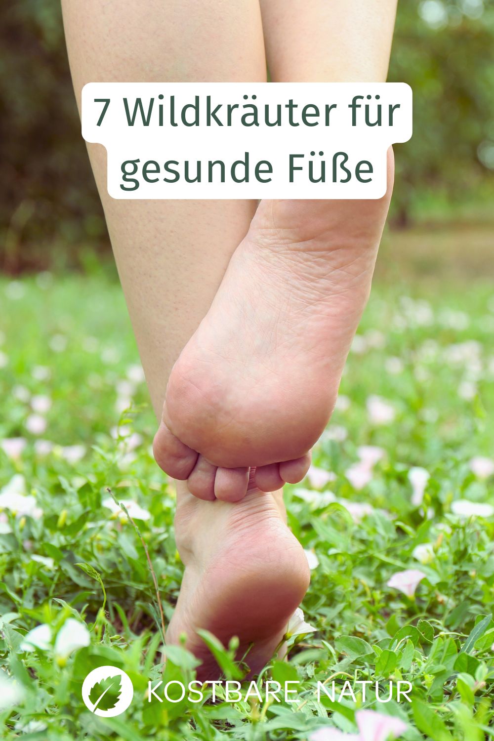 Entdecke bewährte Wildkräuter für gesunde Füße: gegen Schweißfüße, Blasen, Warzen und müde Beine. Rezepte und Anwendungen in diesem Beitrag.
