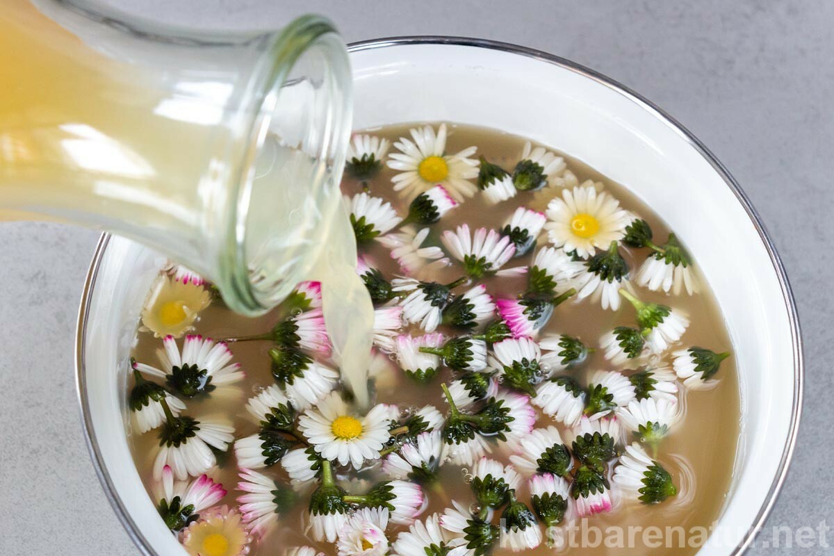 Dieses köstliche Gänseblümchen-Gelee ist schnell und einfach zuzubereiten und versüßt neben deinen Sonntagsbrötchen auch Desserts, Polenta, Müsli und Co.