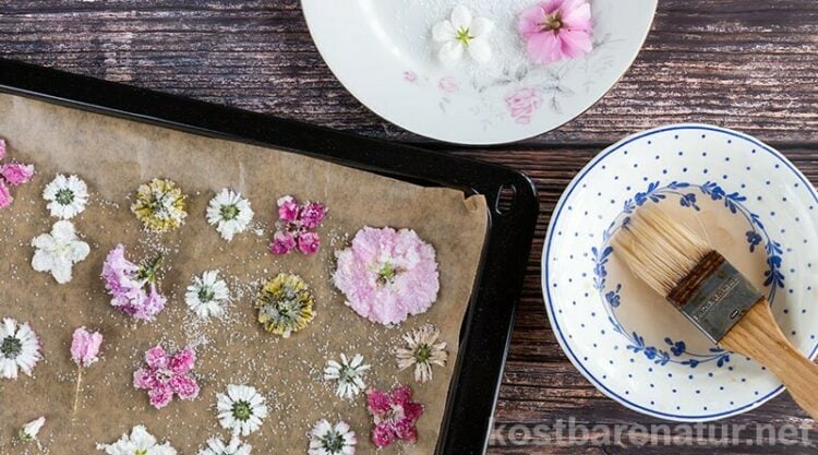Kandierte Blüten: Kleine Kunstwerke zum Vernaschen - Kostbare Natur
