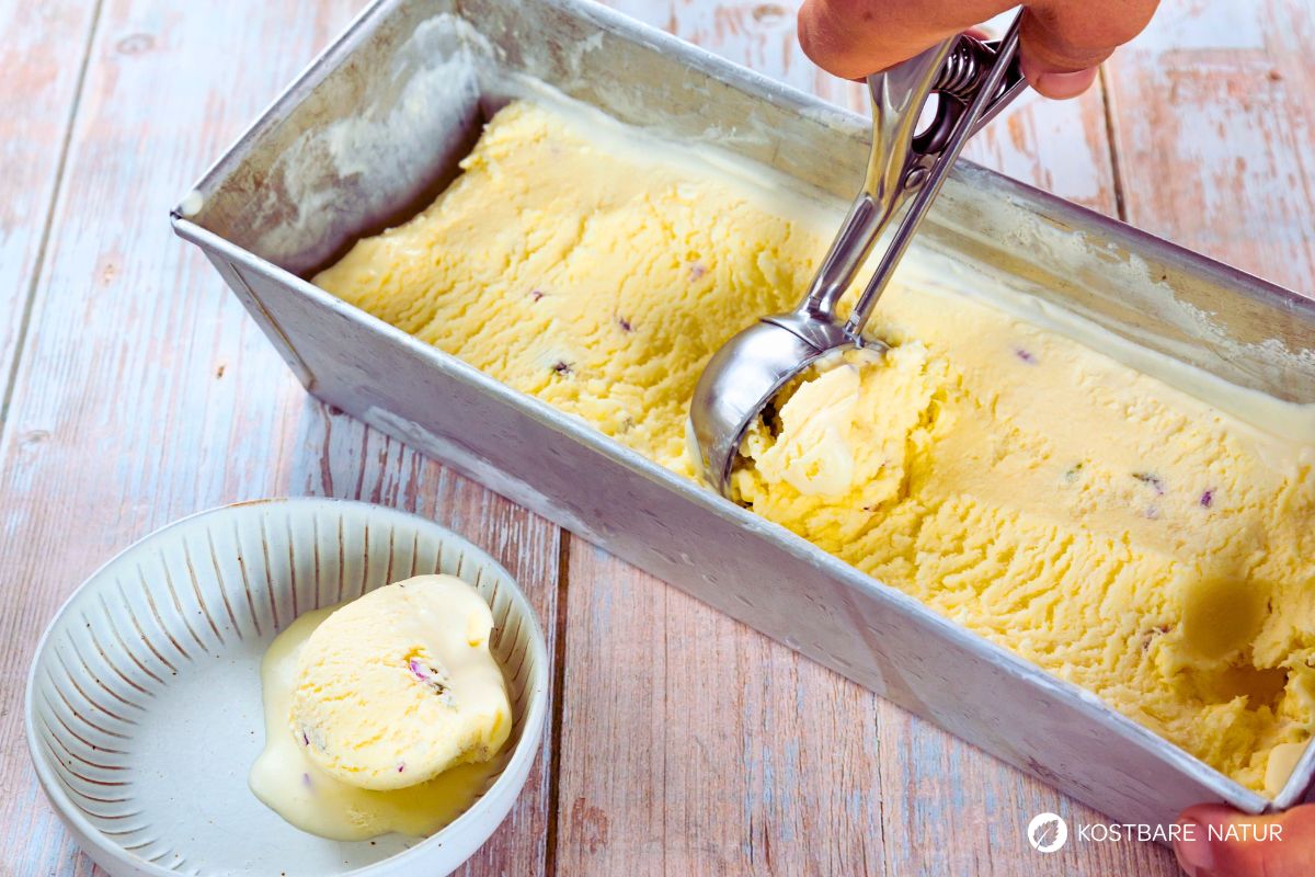 eis-selber-machen-rotklee-2 (5) Fertige Eiscreme