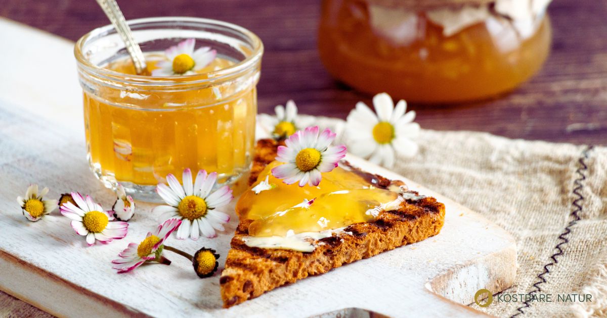 Dieses köstliche Gänseblümchen-Gelee ist schnell und einfach zuzubereiten und versüßt neben deinen Sonntagsbrötchen auch Desserts, Polenta, Müsli und Co.