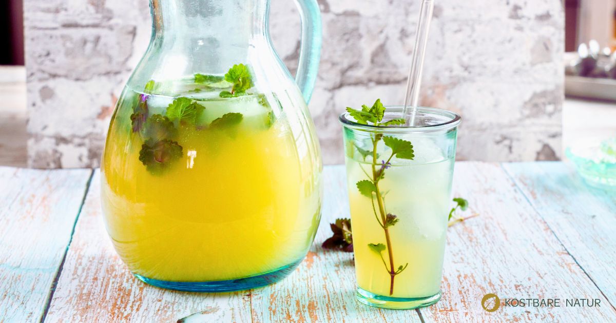 Wer braucht schon künstlich aromatisierte Getränke voller ungesundem Zucker, wenn’s auch natürlich geht – mit prickelnder Gundermann-Limonade zum Beispiel.