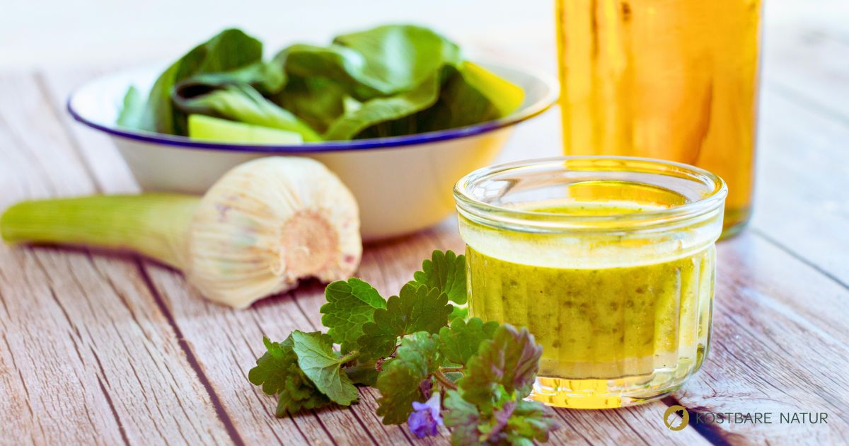 Dieses Kräuterdressing mit Gundermann hat eine frische säuerliche Note und gibt jedem Salat das gewisse Extra!
