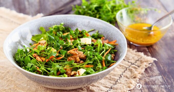 Die Vogelmiere schmeckt nicht nur Hühnern gut. Hier findest du ein Rezept für einen knackigen Vogelmiere-Salat mit kandierten Walnüssen.