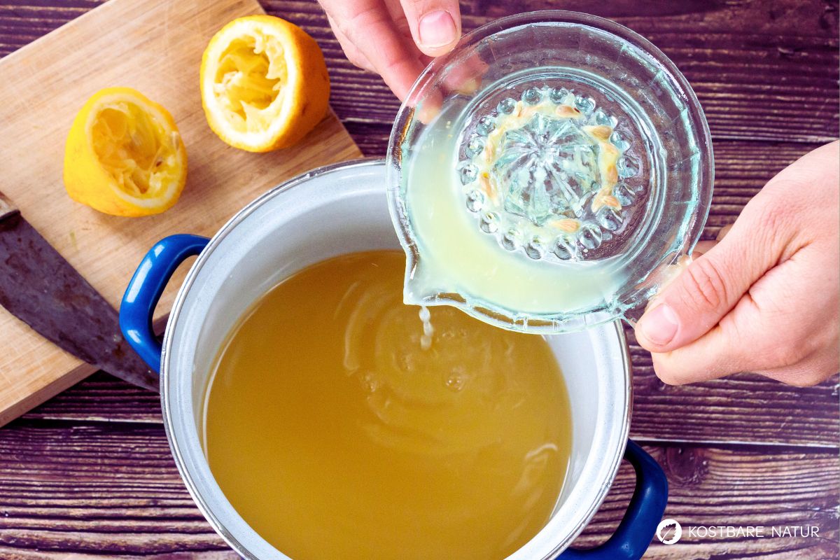 gaensebluemchen-gelee-2 (2) Gänseblümchen-Gelee