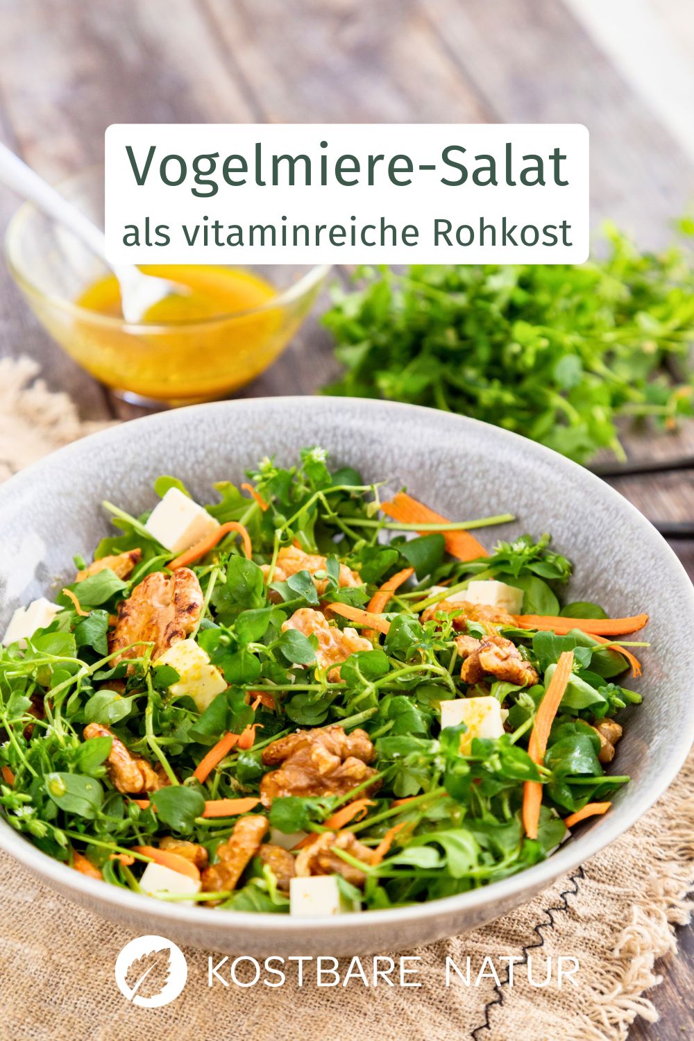 Die Vogelmiere schmeckt nicht nur Hühnern gut. Hier findest du ein Rezept für einen knackigen Vogelmiere-Salat mit kandierten Walnüssen.