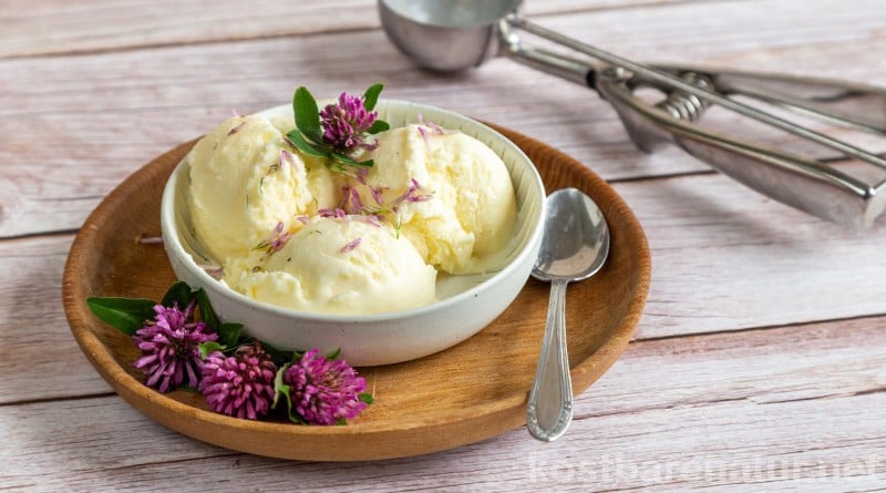 Sahnige Eiscreme aus Rotkleeblüten? Nichts leichter als das! Hier erfährst du, wie du Eis selber machen kannst – mit wenigen Zutaten und ohne Eismaschine.