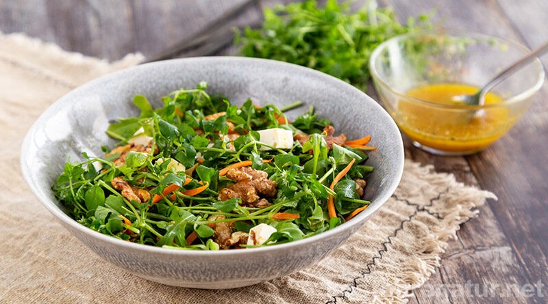 Die Vogelmiere schmeckt nicht nur Hühnern gut. Hier findest du ein Rezept für einen knackigen Vogelmiere-Salat mit kandierten Walnüssen.