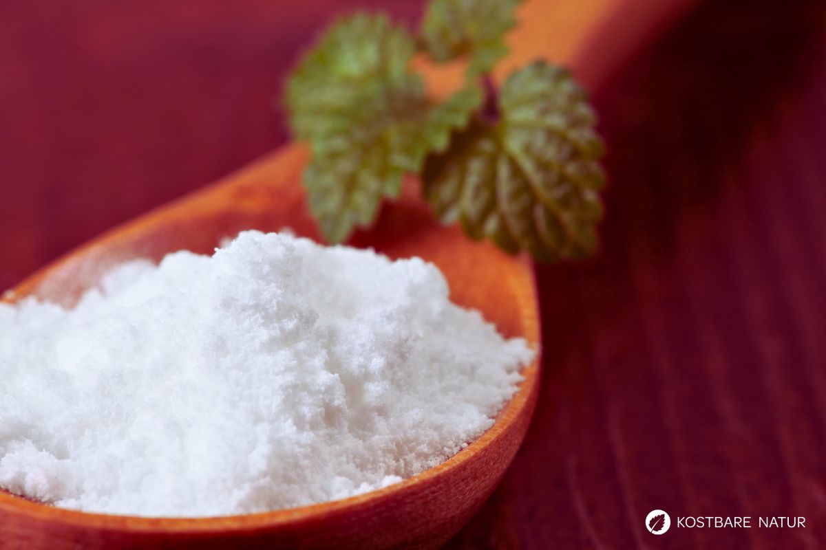 Zitronenmelissen-Zucker einfach selber machen – perfekt für Tee, Kuchen und Desserts. So konservierst du das frische Aroma aus dem Kräutergarten.