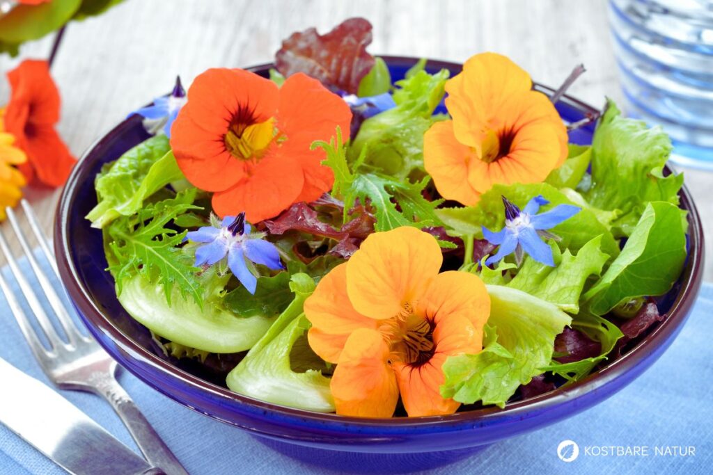 Kapuzinerkresseblüten