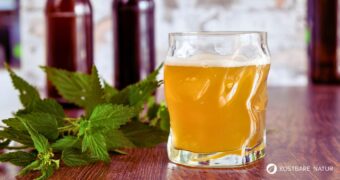 Brennnesselbier selber machen mit frischen Brennnesseln. Einfaches Wildkräuter Rezept mit Honig, Zitrone und Hefe. Natürlich fermentiert.