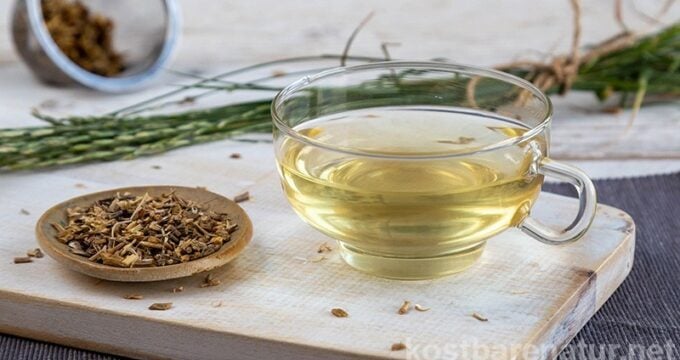 Ein Tee aus Queckenwurzeln ist in wenigen Minuten zubereitet und eignet sich als natürliches Mittel zum Durchspülen bei unkomplizierten Harnwegsinfekten.