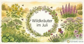 Finde heraus, welche Wildkräuter, Wildfrüchte und andere Schätze du zur Zeit finden und wie du sie in der Küche und für die Gesundheit nutzen kannst!