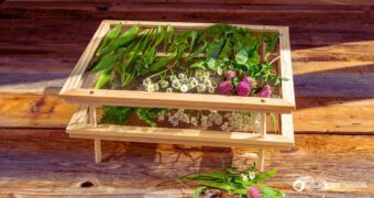 Wer Pilze, Beeren und Kräuter trocknen möchte, kann mit dieser Anleitung einen stapelbaren Kräutertrockner selber bauen.