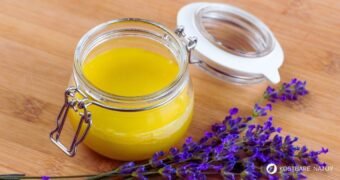 Aus den lila Blüten lässt sich im Handumdrehen eine aromatische Lavendelsalbe zaubern, die deine Nerven stärkt und die Haut regeneriert.
