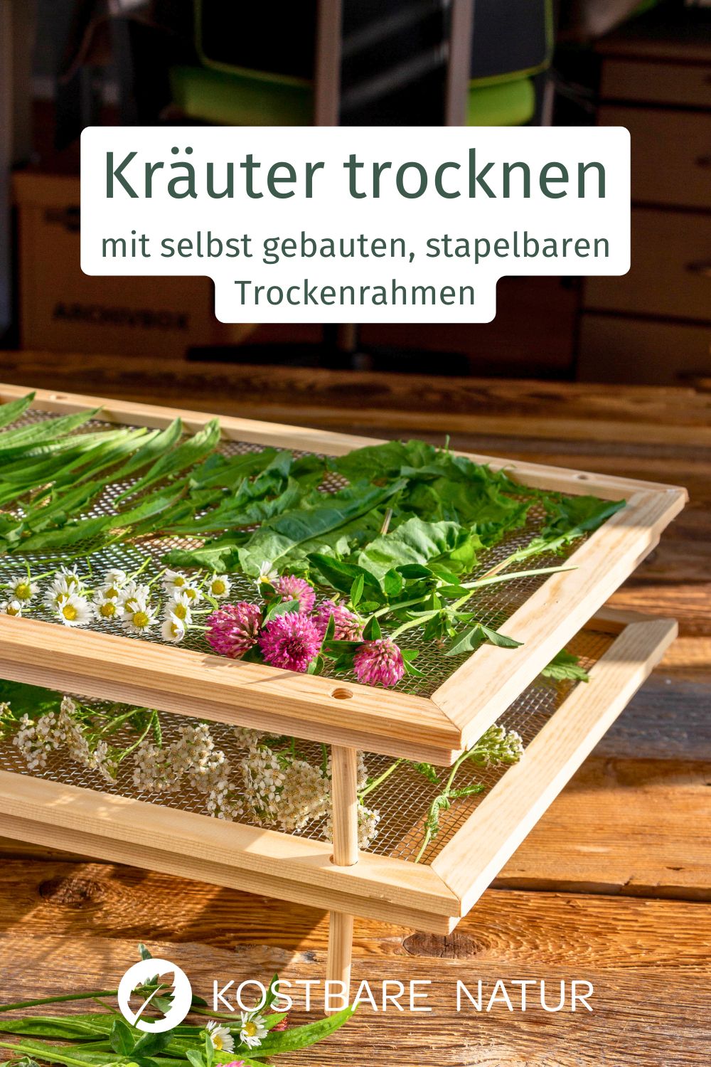 Wer Pilze, Beeren und Kräuter trocknen möchte, kann mit dieser Anleitung einen stapelbaren Kräutertrockner selber bauen.