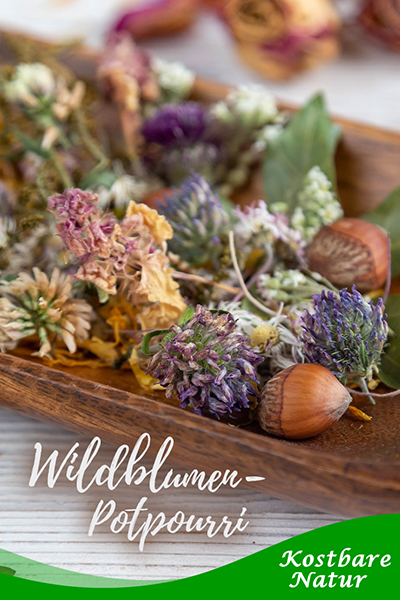 Mit einer Komposition aus duftenden Trockenblumen bringst du Farbe und Aroma in deine vier Wände: DIY-Anleitung für ein Potpourri mit Wildblumen.
