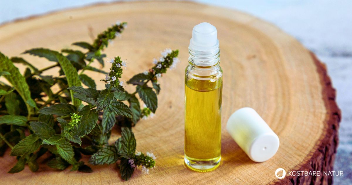 Du kannst sehr leicht Pfefferminzöl selber machen und als milde Alternative zu ätherischem Öl für viele gesunde Anwendungen einsetzen.
