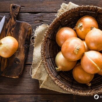 Zwiebel-Profil: Wirkung, Nährstoffe, Hausmittel, Anbau-Tipps und sichere Erkennung. Alltagspflanze für Küche, Gesundheit und Garten.