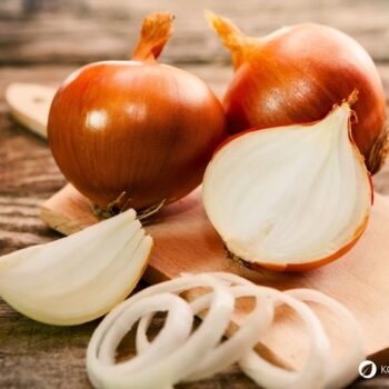 Zwiebel-Profil: Wirkung, Nährstoffe, Hausmittel, Anbau-Tipps und sichere Erkennung. Alltagspflanze für Küche, Gesundheit und Garten.