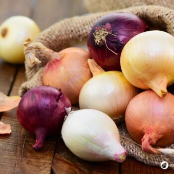 Zwiebel-Profil: Wirkung, Nährstoffe, Hausmittel, Anbau-Tipps und sichere Erkennung. Alltagspflanze für Küche, Gesundheit und Garten.