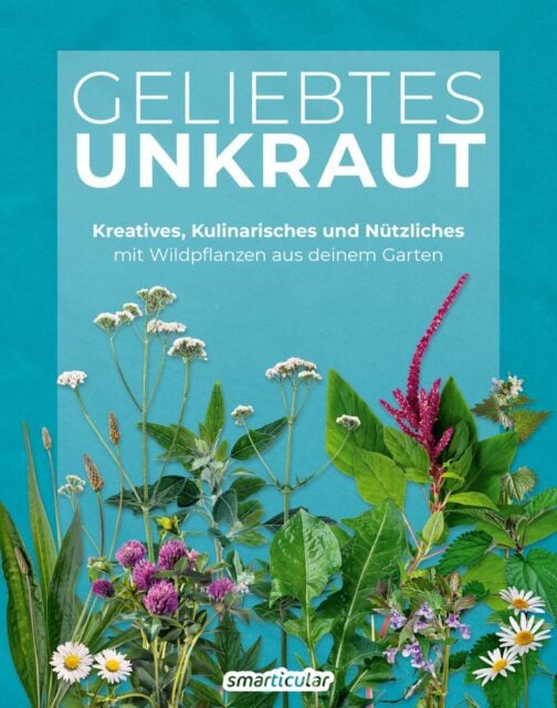 Geliebtes Unkraut - Cover