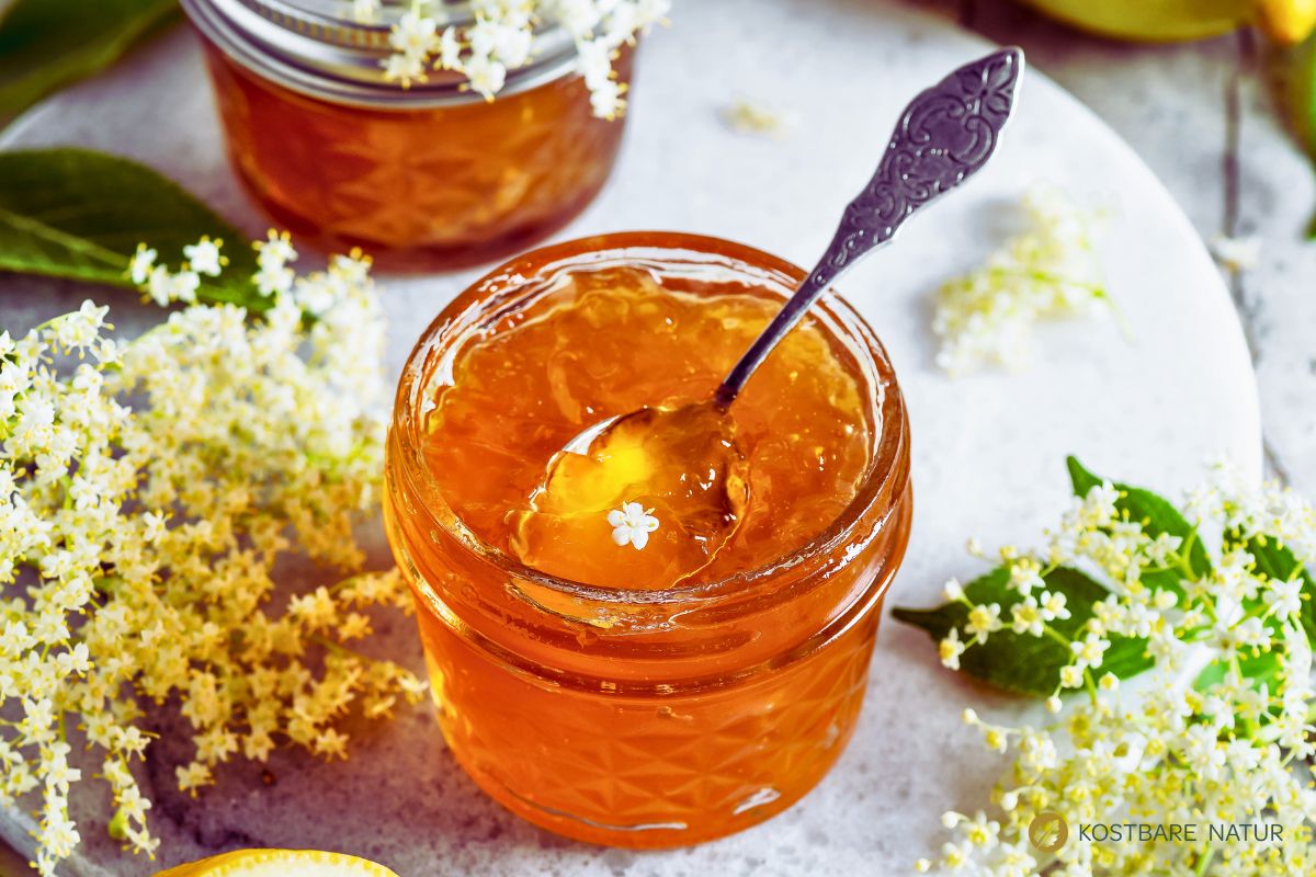 Rezept für Holunderblütengelee
