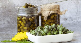 Löwenzahnkapern lassen sich aus Knospen leicht selber machen und vielseitig in der Küche verwenden - ähnlich wie Kapern.