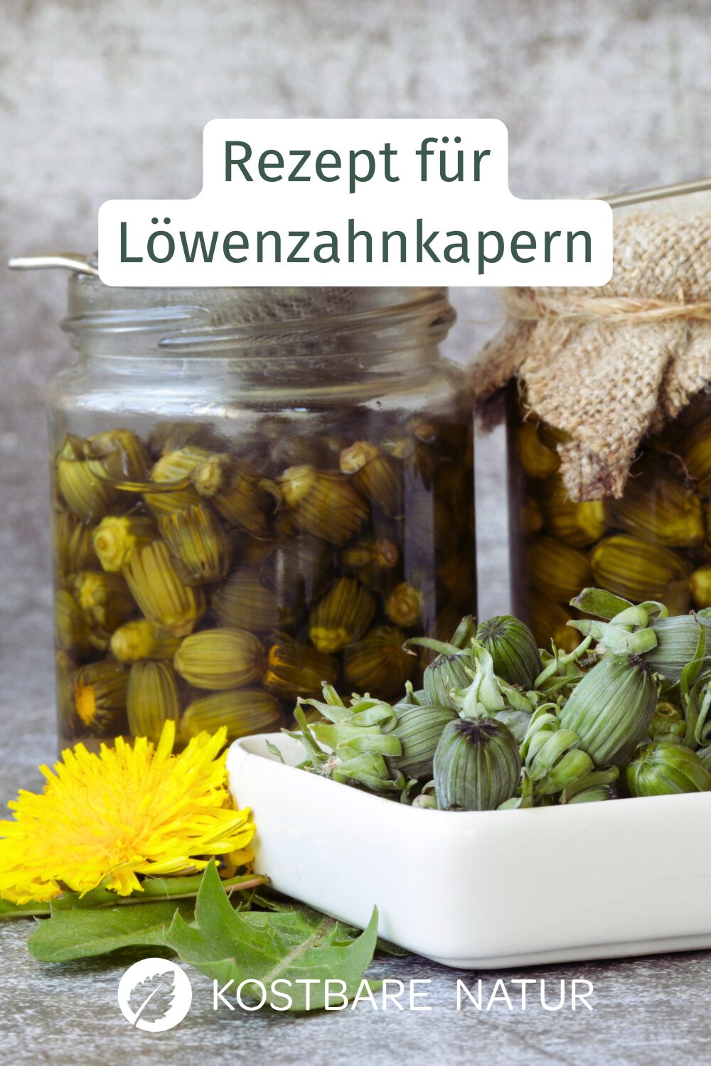 Löwenzahnkapern lassen sich aus Knospen leicht selber machen und vielseitig in der Küche verwenden - ähnlich wie Kapern.