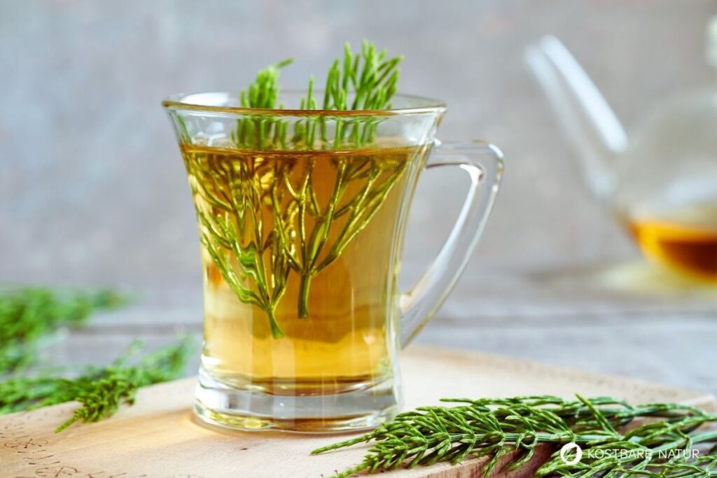 Ackerschachtelhalm-Tee in Glas