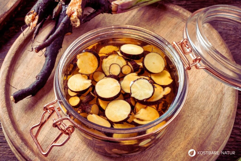 Beinwellwurzelscheiben in Glas