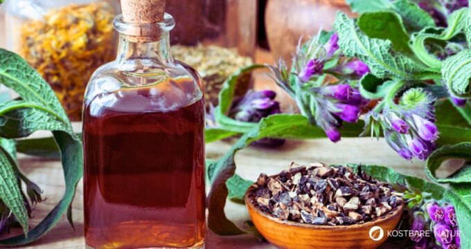 Heilsame Beinwell-Tinktur gegen Hautprobleme, Entzündungen und Narbenschmerzen selber machen.