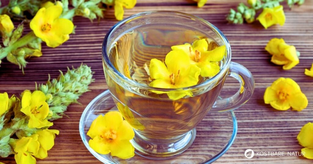 Ein heilsamer Königskerzentee trägt dazu bei Erkältungssymptome zu lindern und das Wohlbefinden zu verbessern.