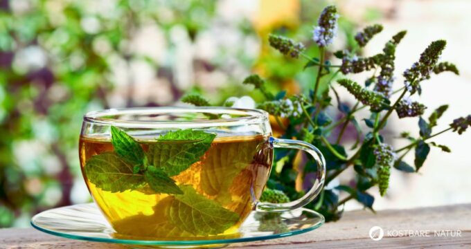 Heilsamer Pfefferminztee kann viel mehr als du denkst! Er lindert Verdauungsbeschwerden, Erkältungssymptome, Mundgeruch und Hautunreinheiten.