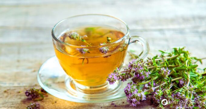 Thymian ist mehr als nur ein Würzkraut, denn als Thymiantee lindert er Husten, Schnupfen, Bauchschmerzen und vieles mehr.