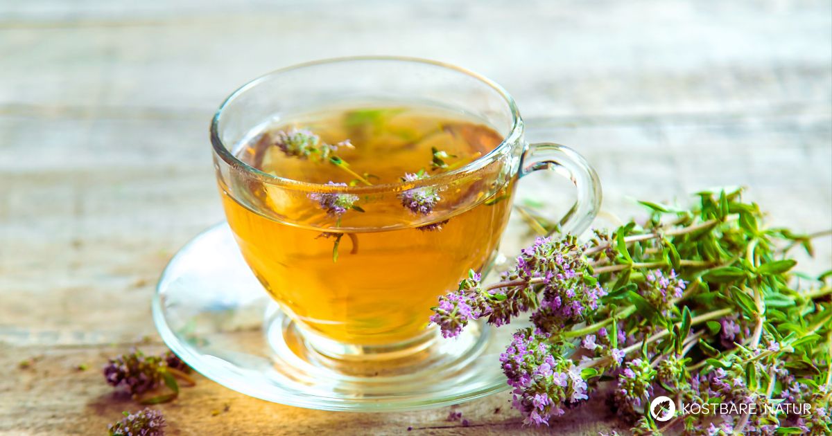 Thymian ist mehr als nur ein Würzkraut, denn als Thymiantee lindert er Husten, Schnupfen, Bauchschmerzen und vieles mehr.