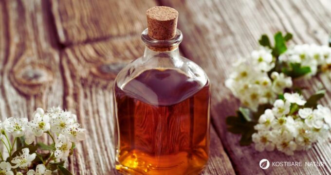 Eine herzstärkende Weißdorn-Tinktur lässt sich aus Blüten und Blättern ganz leicht selber herstellen.