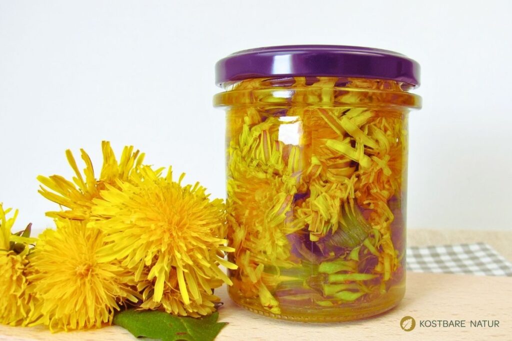 Löwenzahnöl im Glas während der Ziehzeit