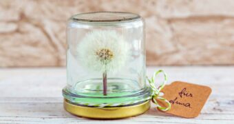 Mit einem einfachen Trick lassen sich Pusteblumen haltbar machen und als Wunscherfüller verschenken.