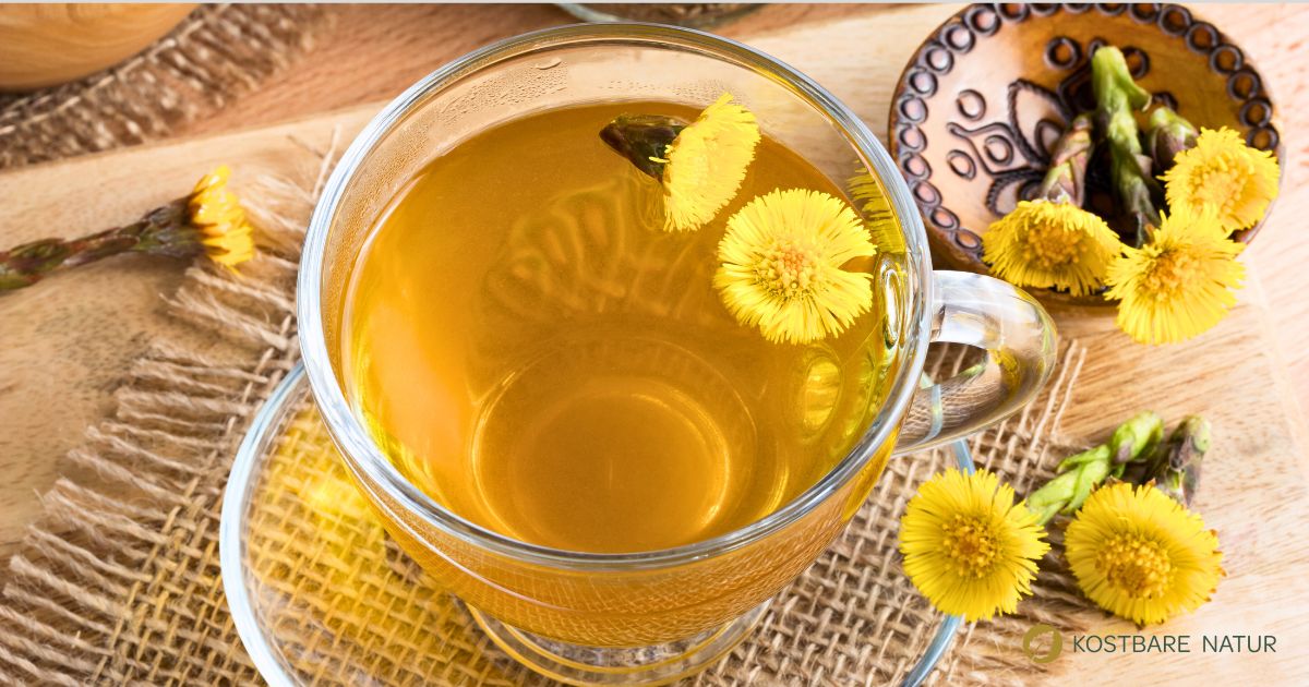 Aus den Blüten und Blättern vom Huflattich lässt sich ein heilsamer Tee gegen Atemwegsbeschwerden ganz leicht zubereiten.