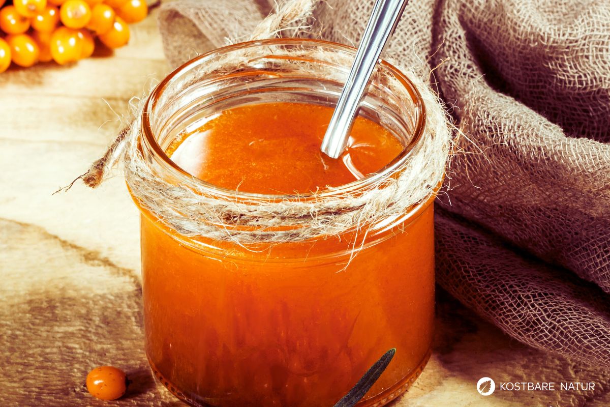 Rezept für Sanddorn-Marmelade: vitaminreichen Aufstrich selber machen ...