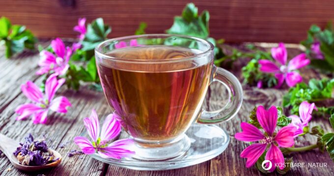 Malventee enthält zahlreiche heilkräftige Schleimstoffe, die beruhigend und lindernd bei Husten und Halsschmerzen wirken.