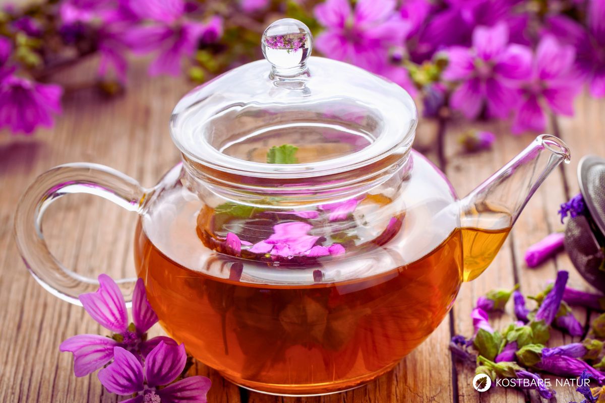 Malventee zubereiten