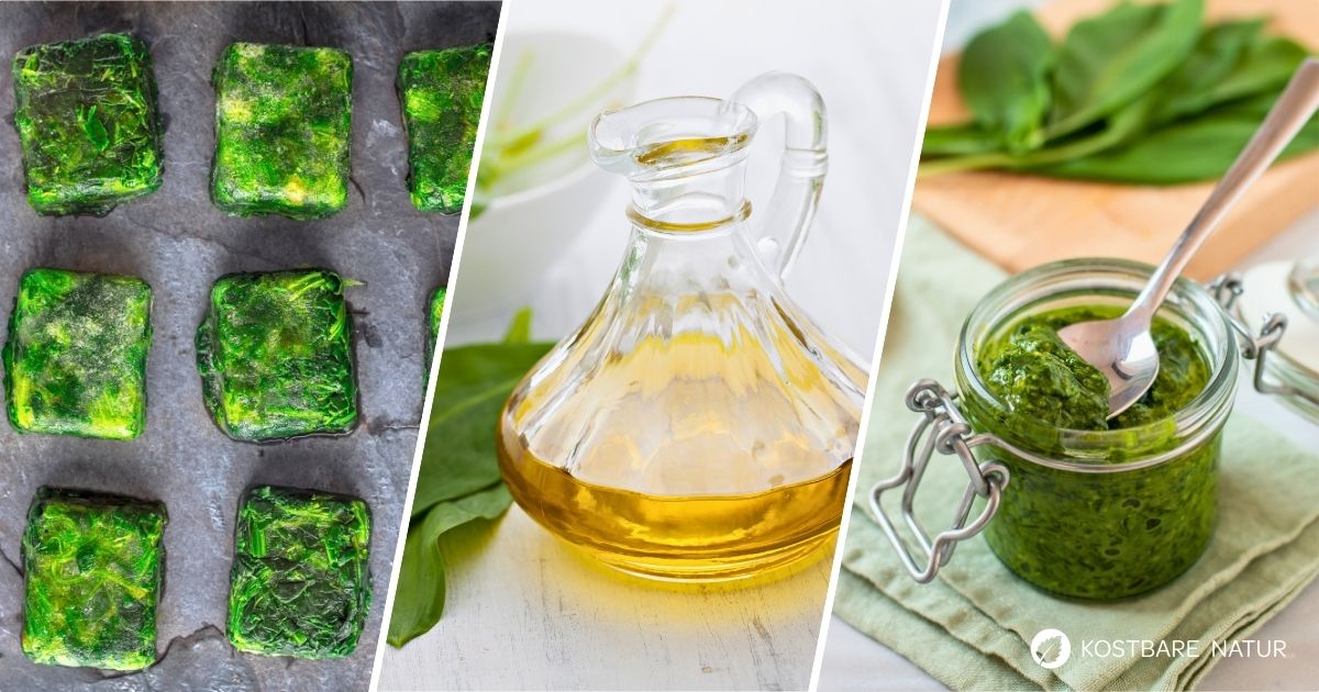 Bärlauch ist eine unserer Lieblingskräuter im Frühjahr. Mit diesen einfachen Rezepten kannst du Bärlauch haltbar machen.