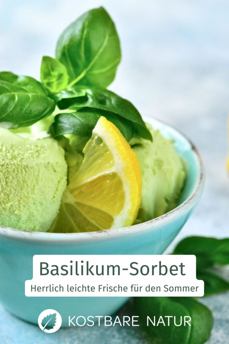 Basilikum-Sorbet: Erfrischung mit Kräuter-Kick - Kostbare Natur Basilikum-Sorbet: Erfrischung mit Kräuter-Kick - Kostbare Natur